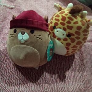 7in Squishmallows Chip Gary